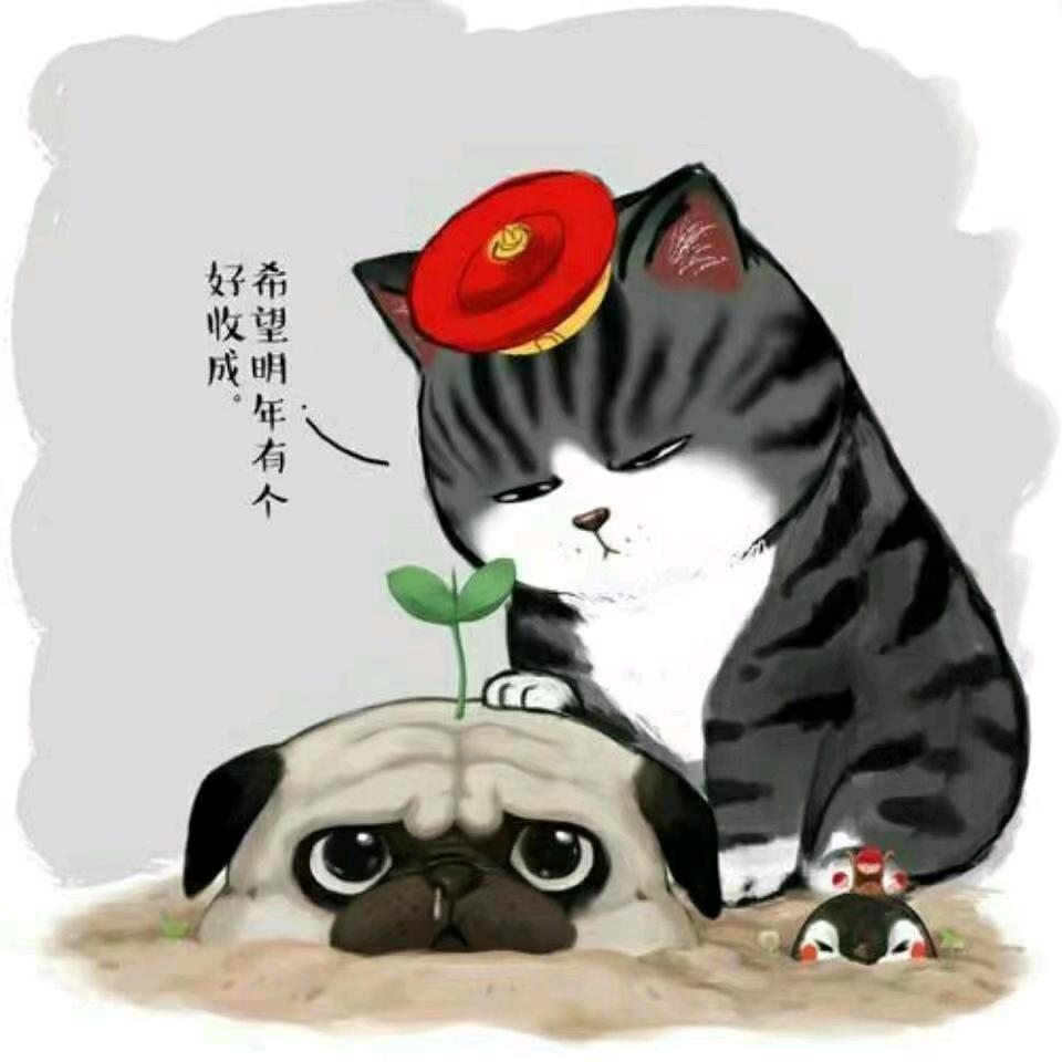 🔥🐬✨ 明..！🌈