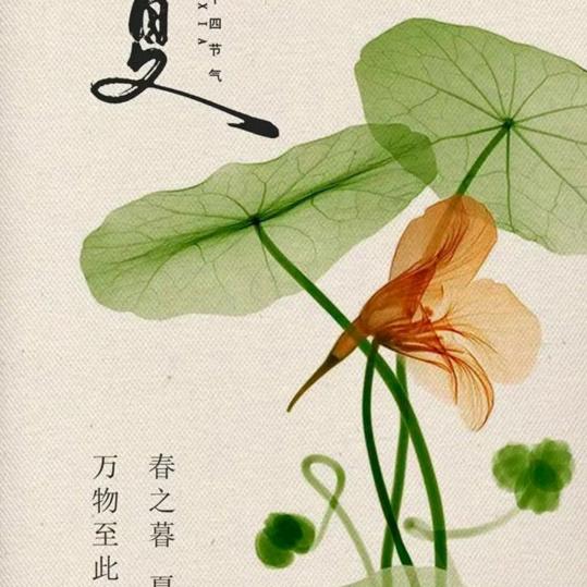 我是你的林姐💋💋