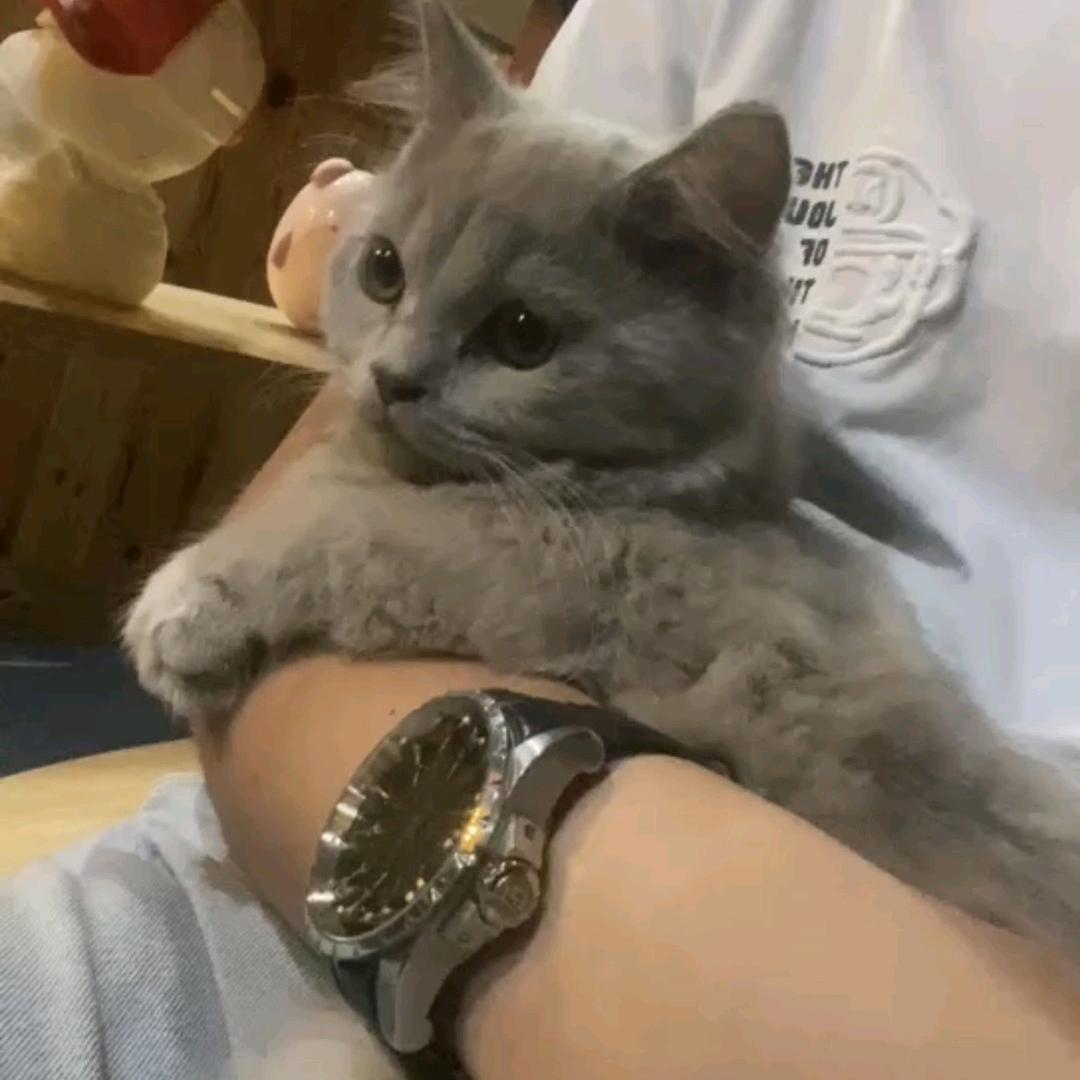 燃.