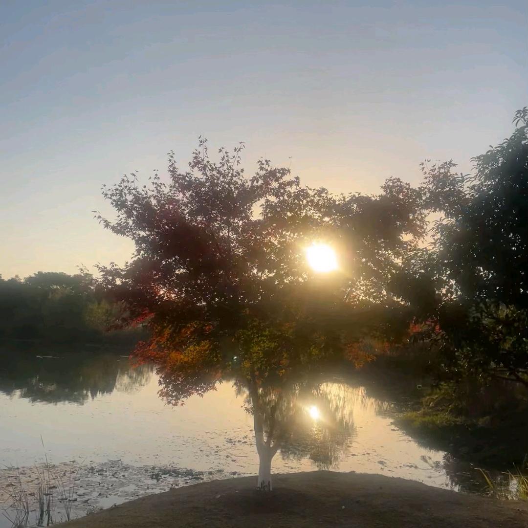 ☀️👁👁☀️