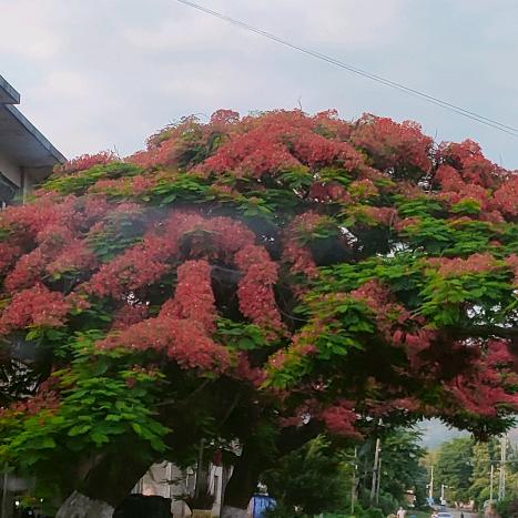 建房队伍