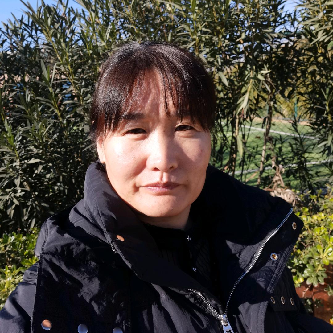 燕子归来