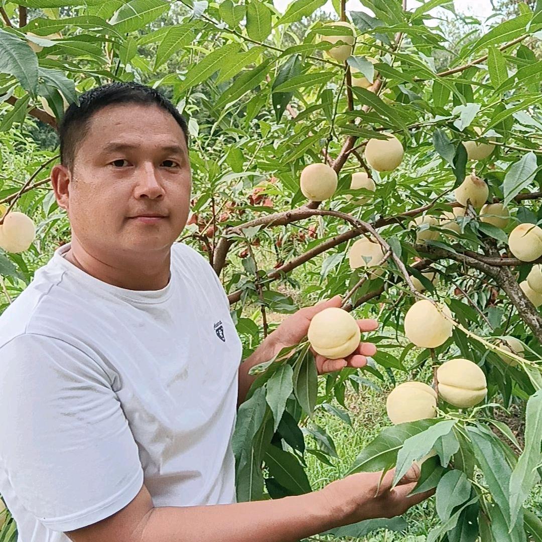开阳县金吉园水果种植基地（个体工商户）