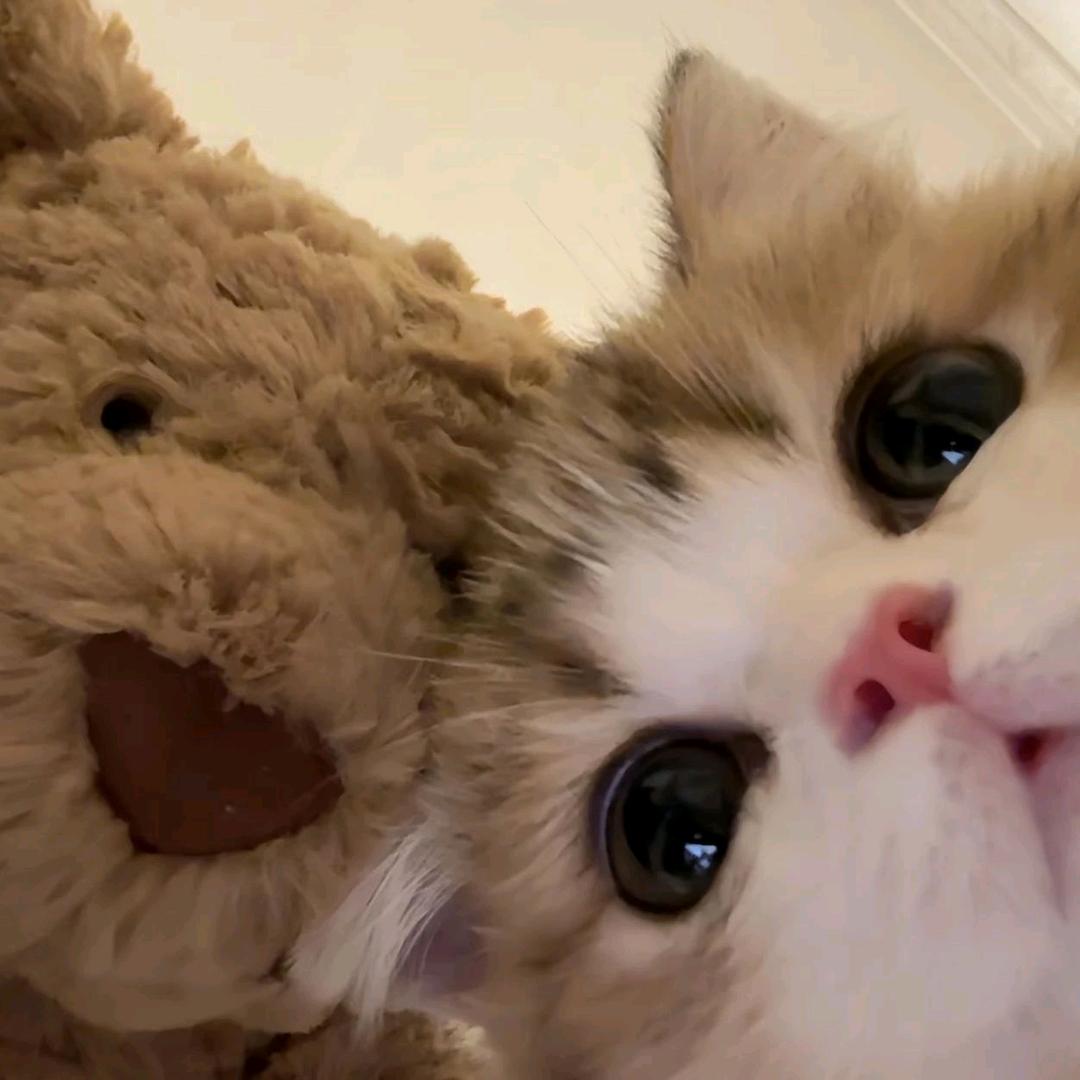 啊欧