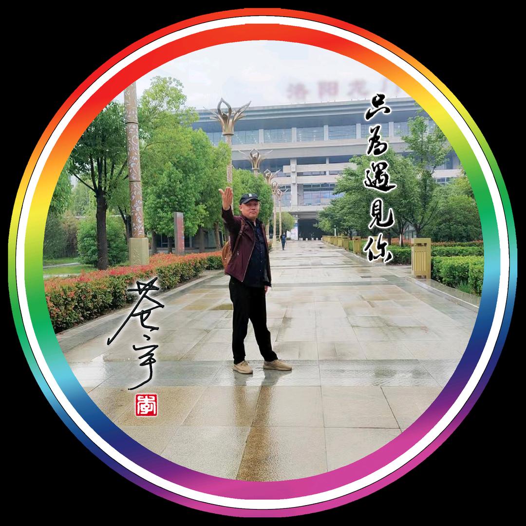 苍宇