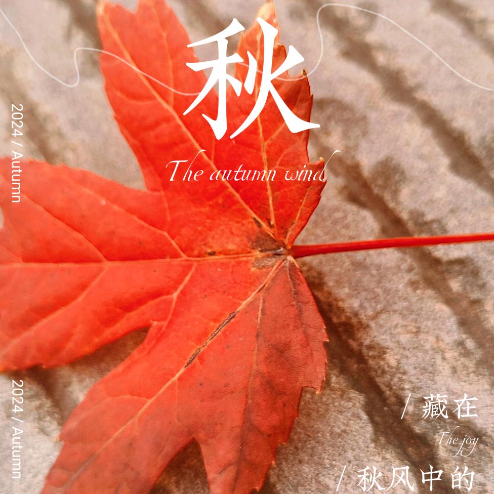 胖妞的逆袭时代