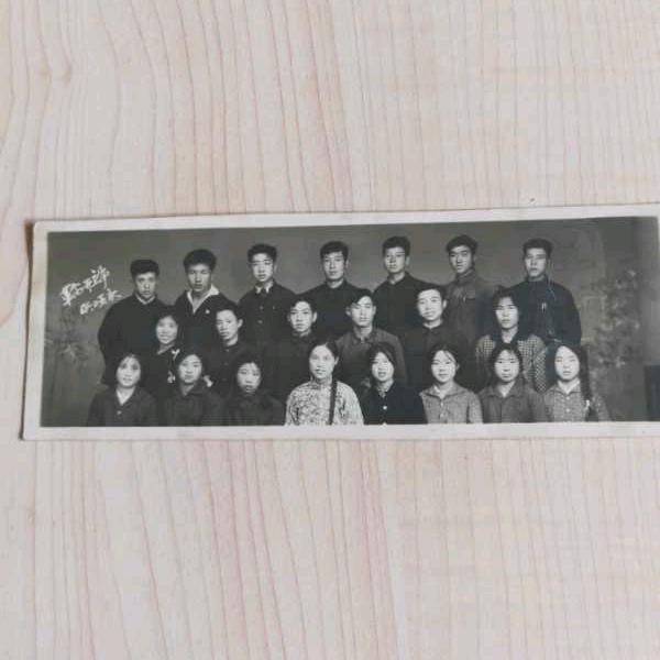挚诚