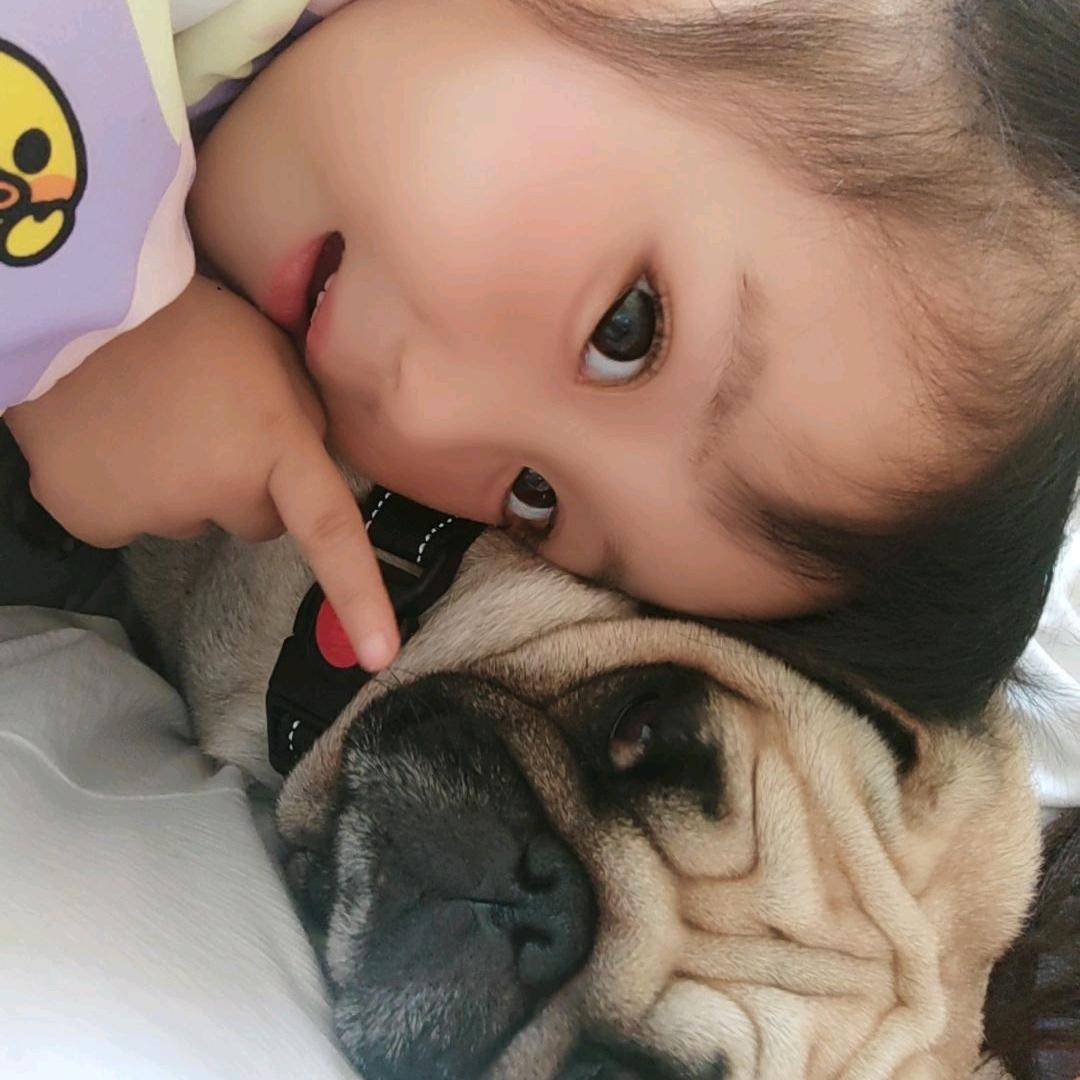小琴