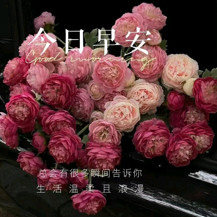 那片星空里的她