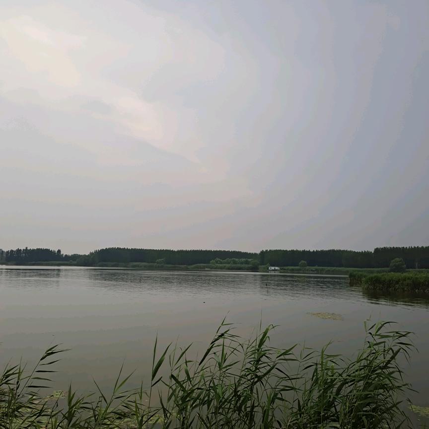 O