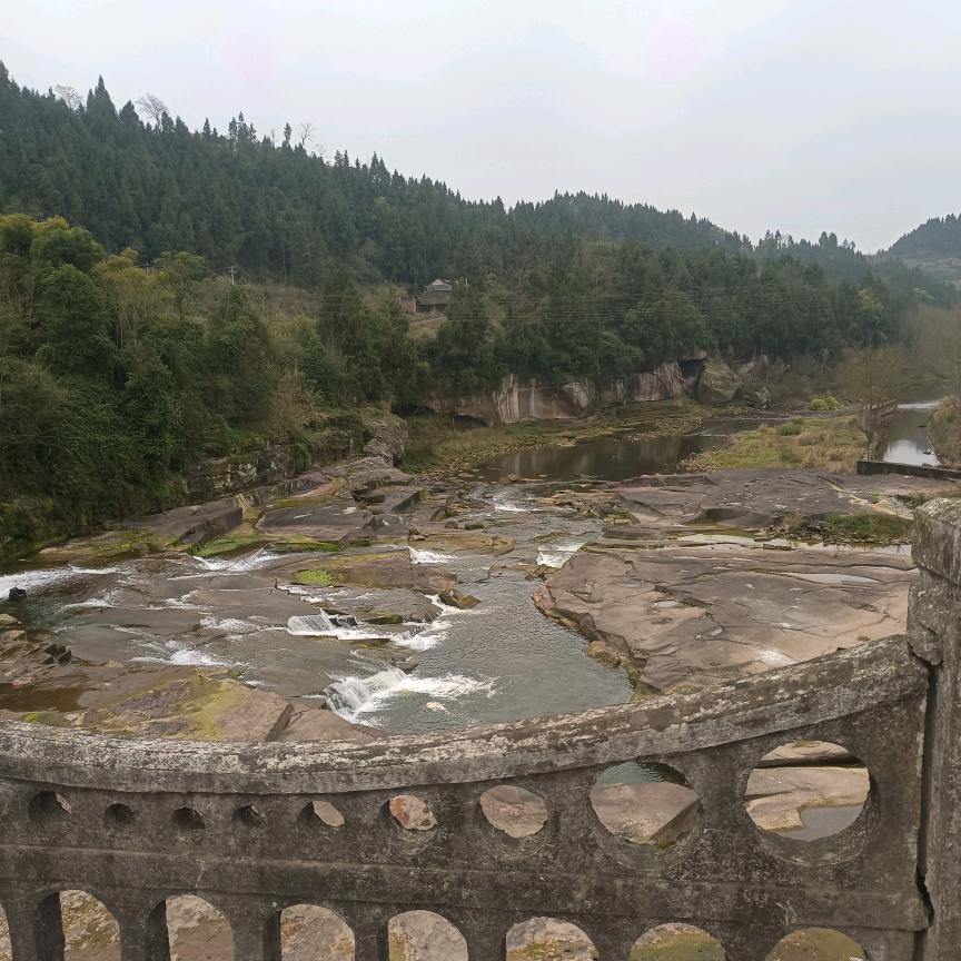 糖tang