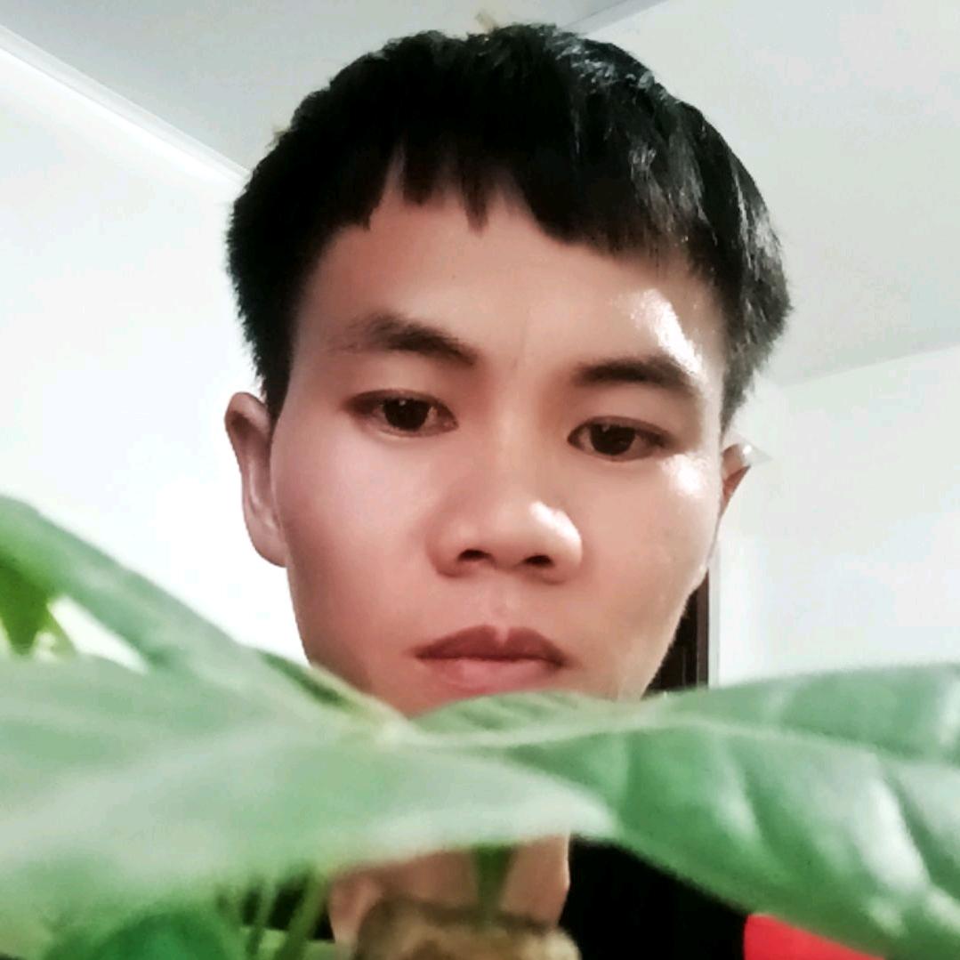 杰的杰