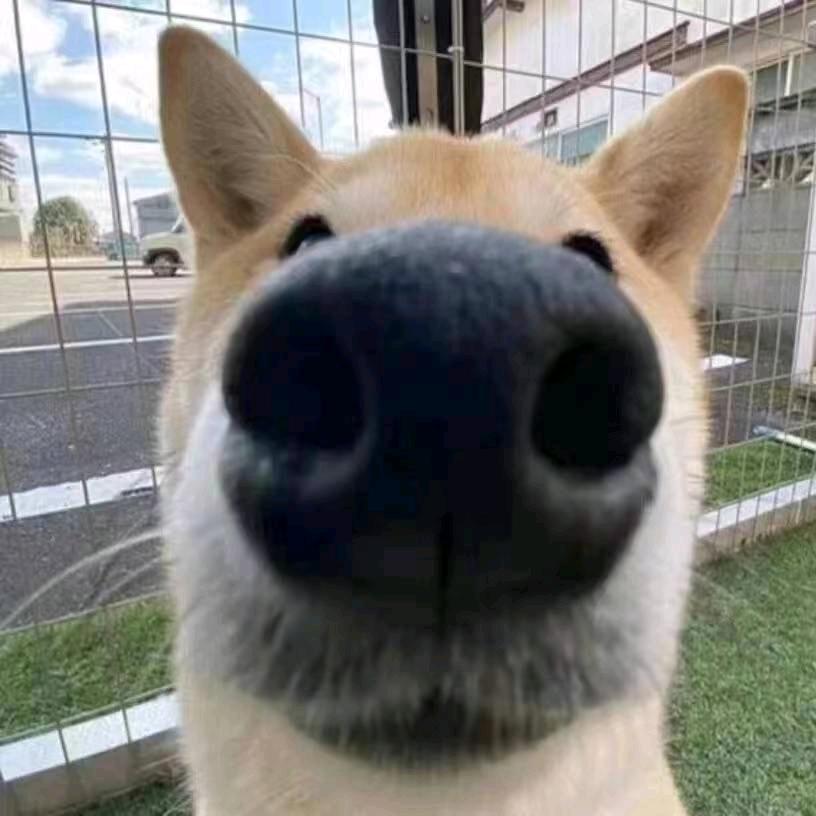 平凡也爱你.🥀