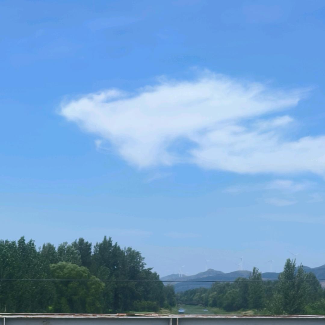 从头再来