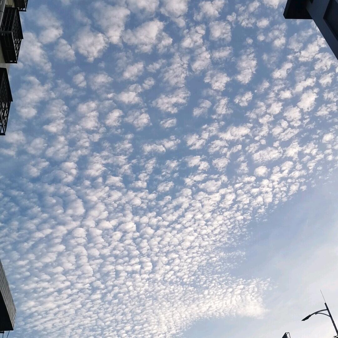80后大叔