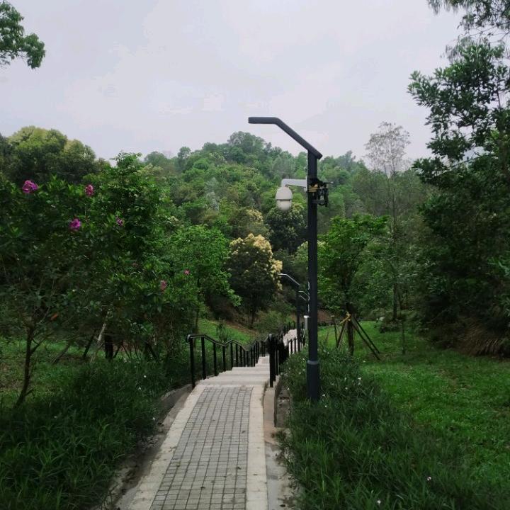 彩虹之约