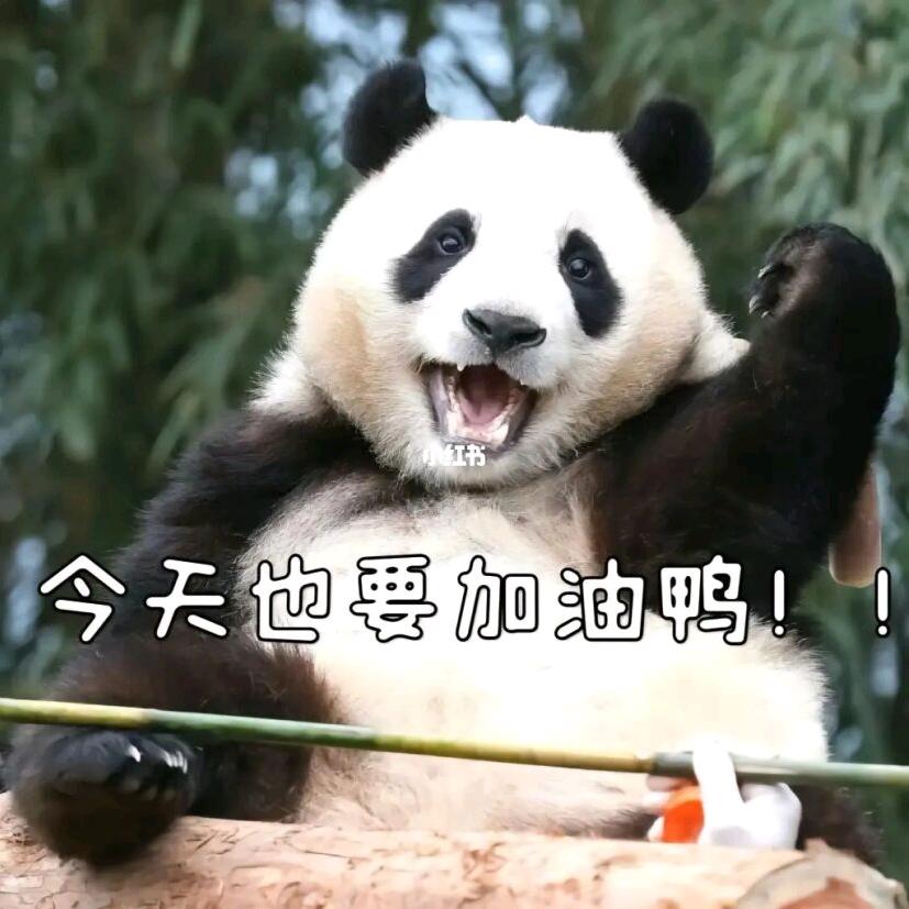 小园子