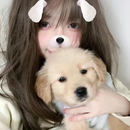 小猫咖