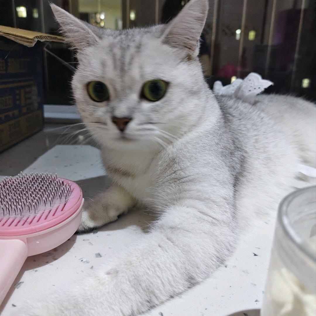 小管^O^