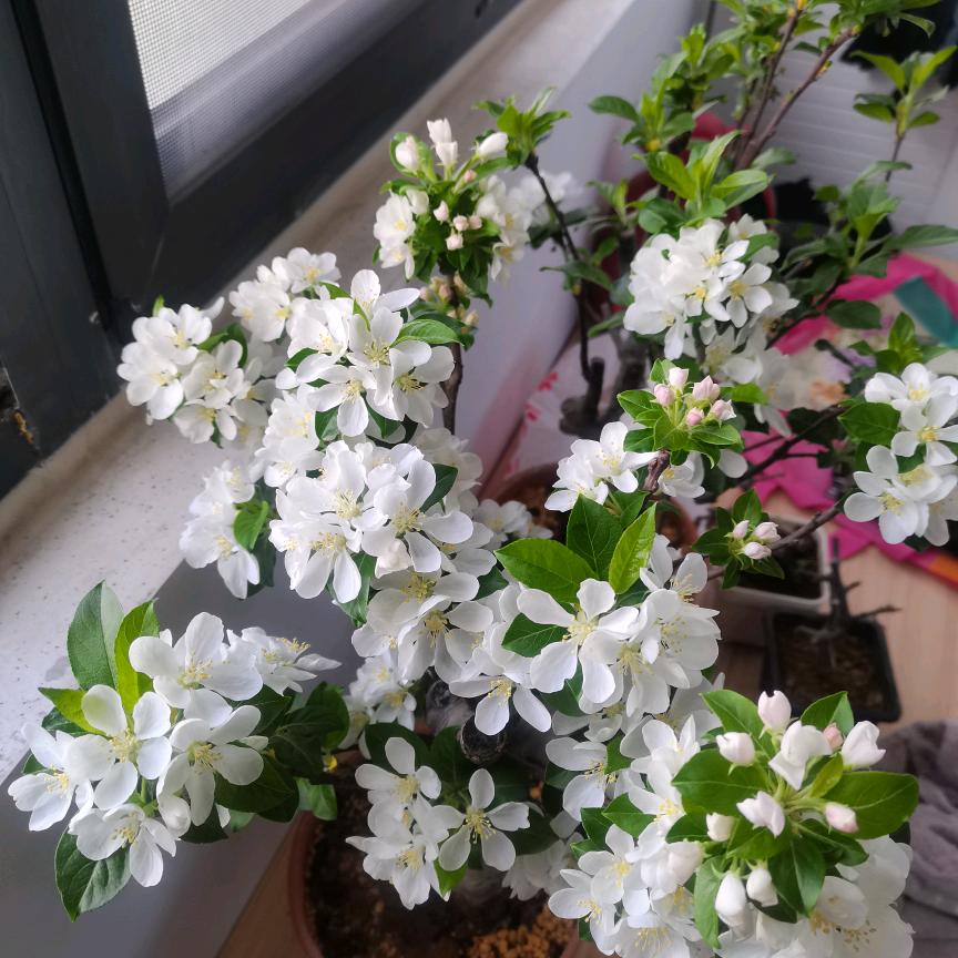 友谊永纯