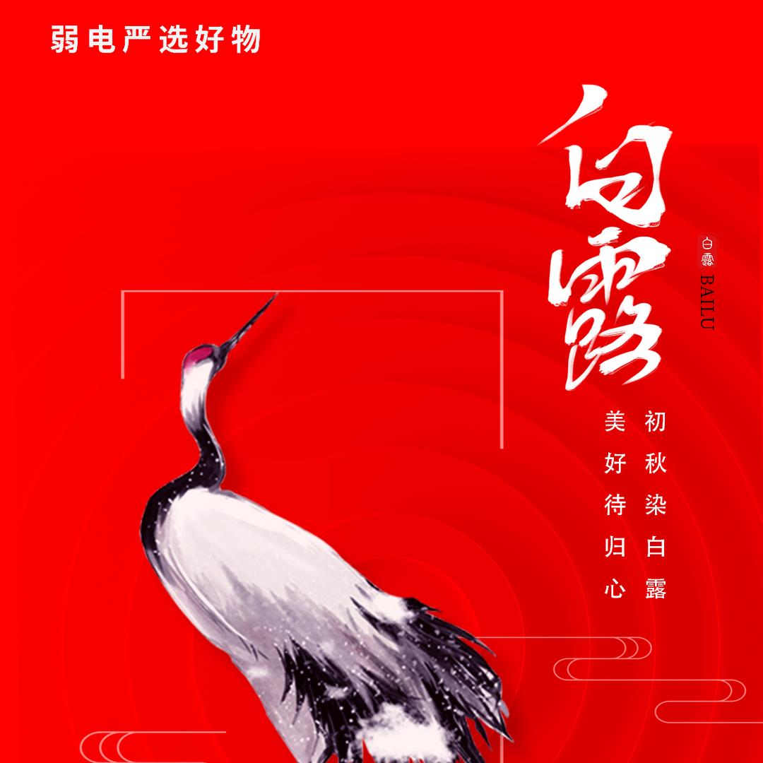 沃浦数码安防