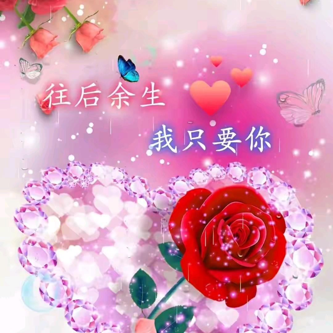 ☾⋆᭄⁵̶²̶º̶糖ั♡萱₁̶₃̶₁̶₄