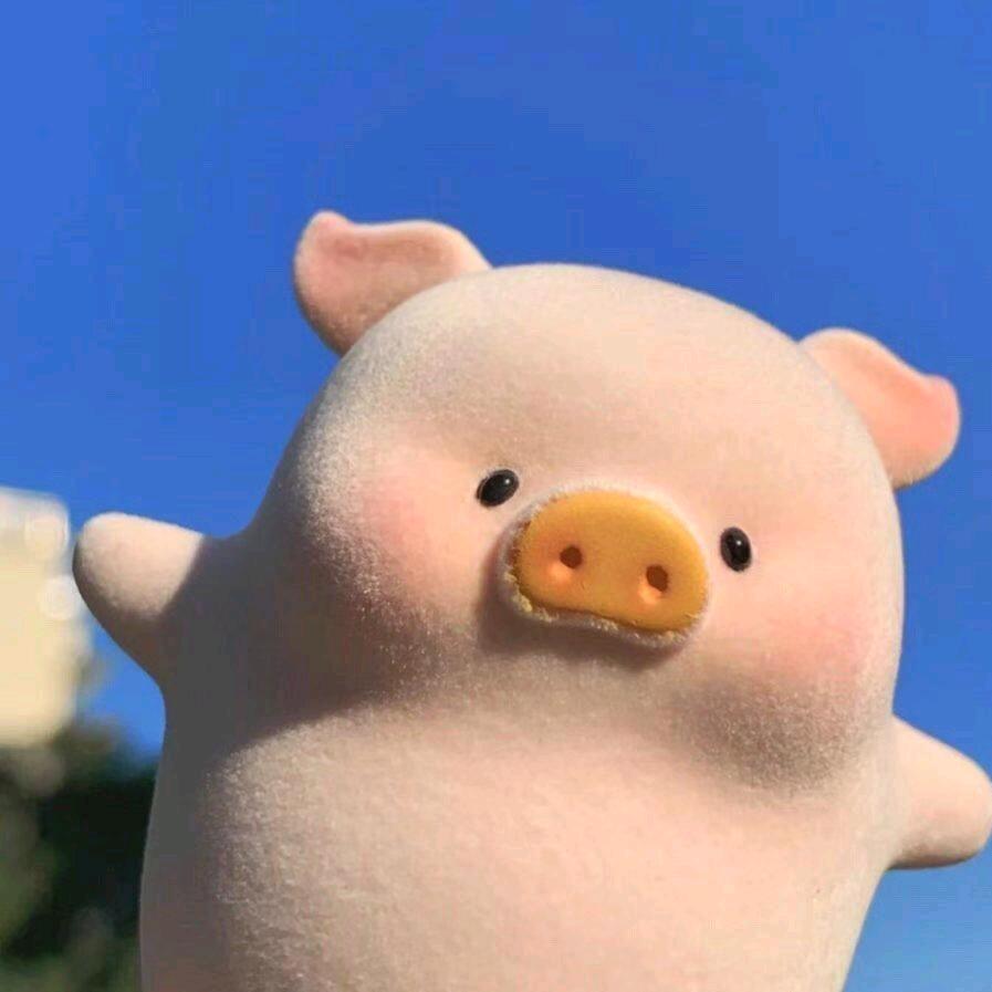 你好，请问