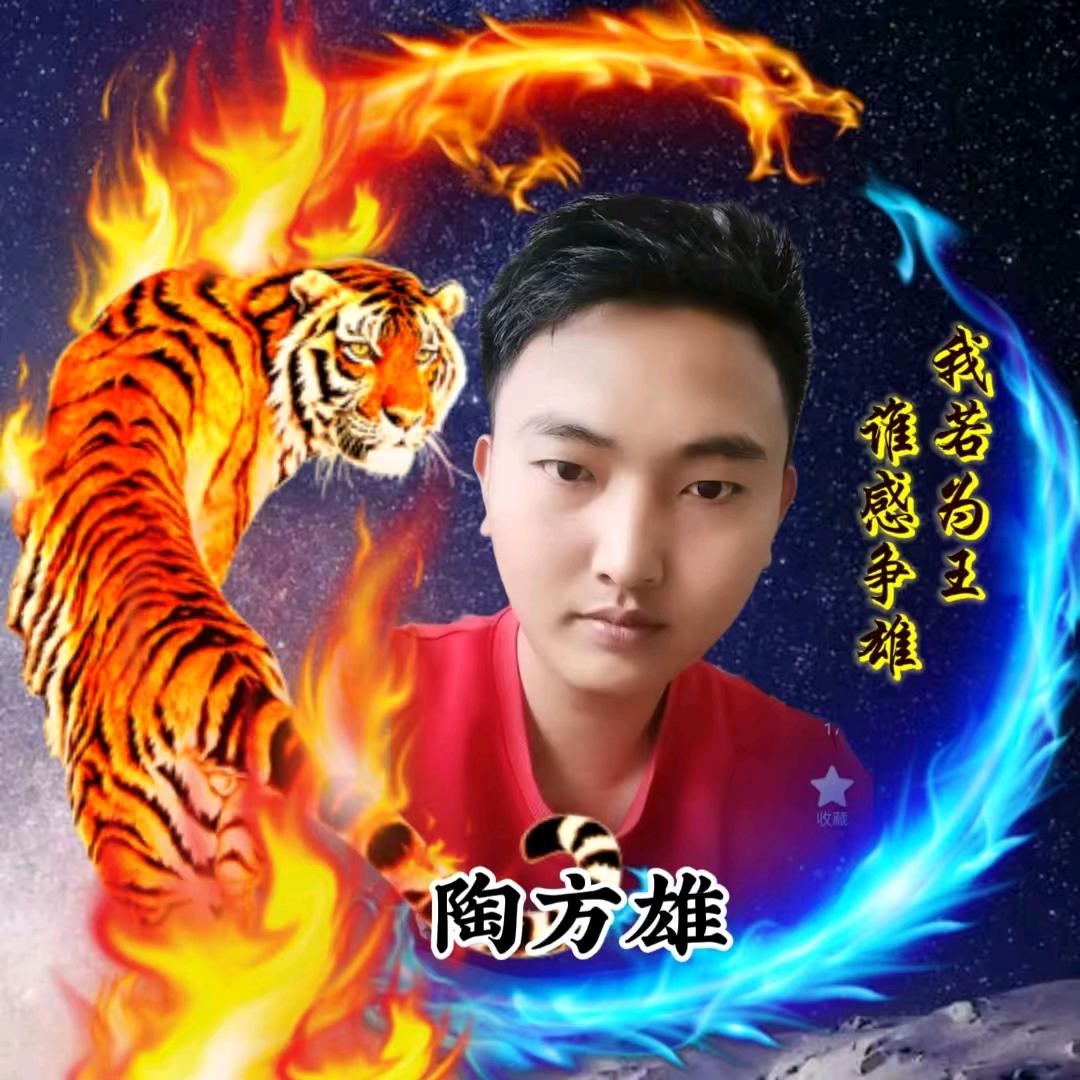 陶方雄 ⁵⁰⁷