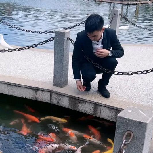 🚬ಇ᭄戒烟戒酒࿆ྃ不໊戒你࿐