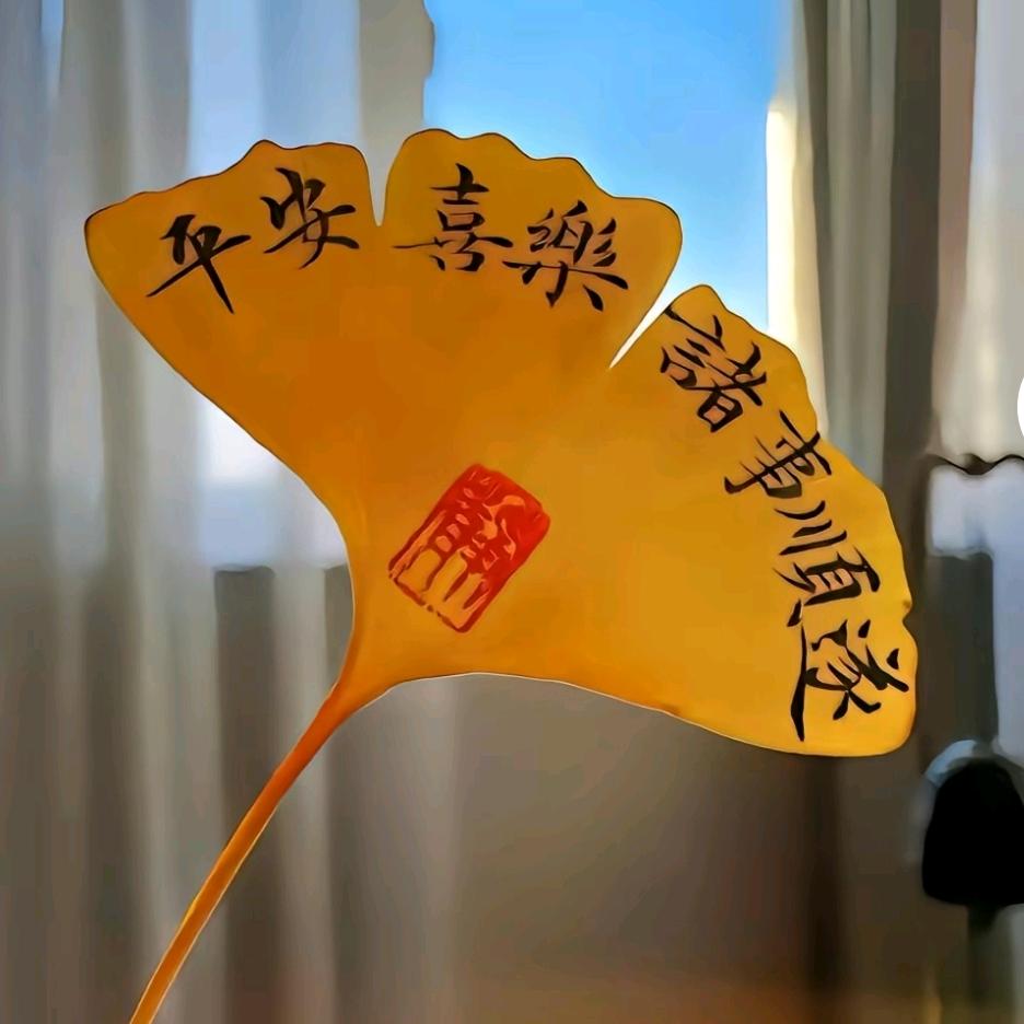 晴天🌞🌞🌞🌞🌞🌞