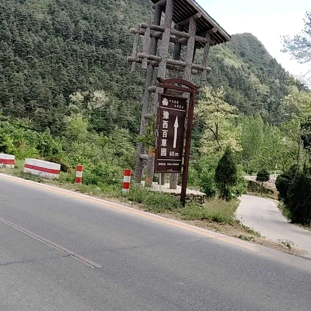 蜜恋花