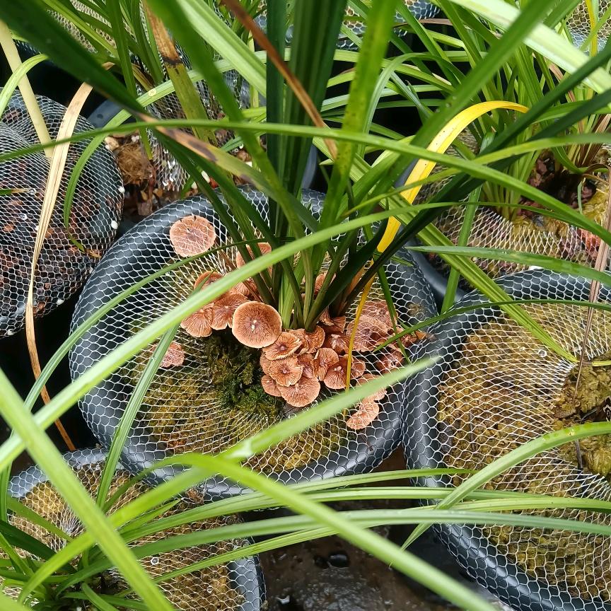 一路有秋，一世也辉