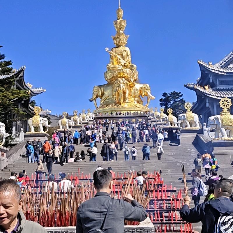 向往神鹰