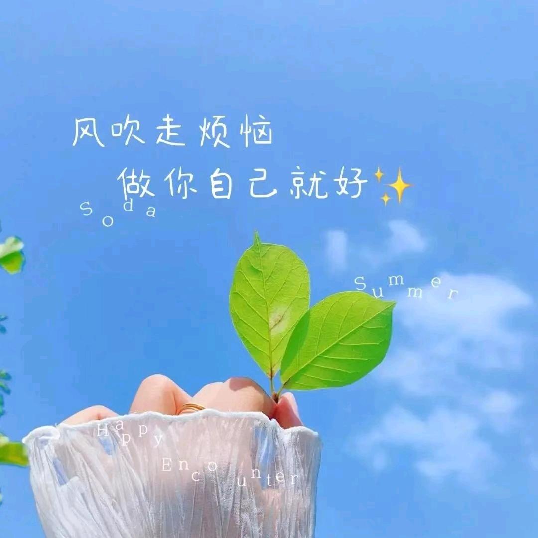 落尽海