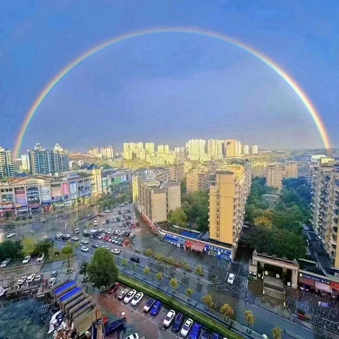 会发财的瑞士卷