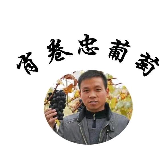 肖卷忠葡萄猕猴桃