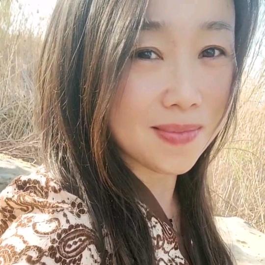 相思的玫瑰