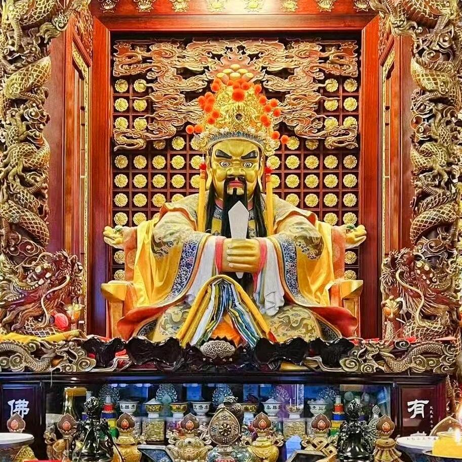 思阳的有趣人生