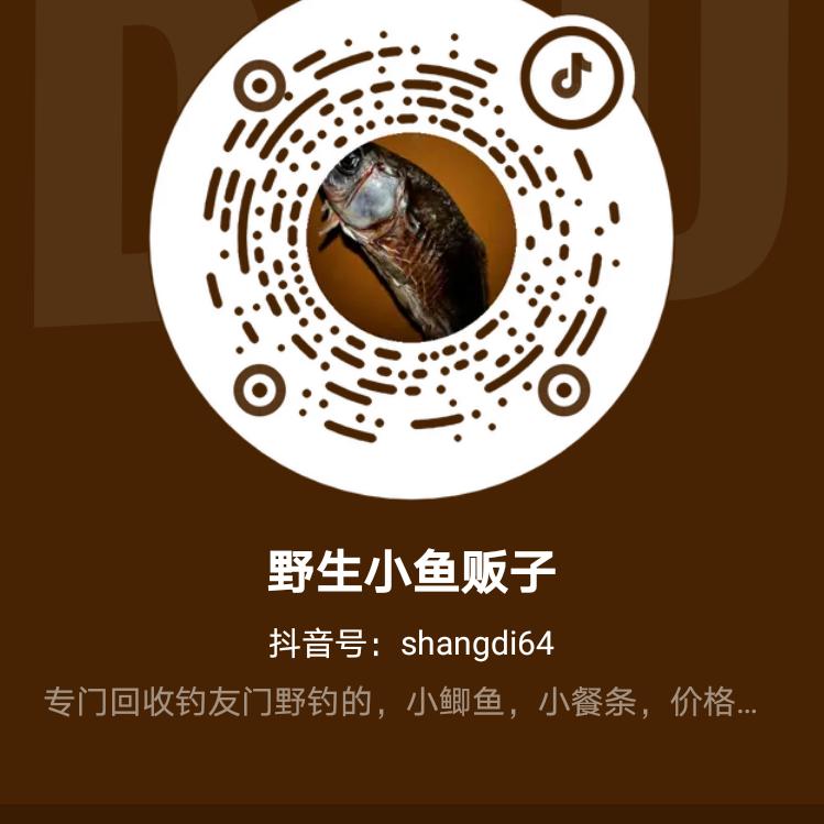 野生小鱼