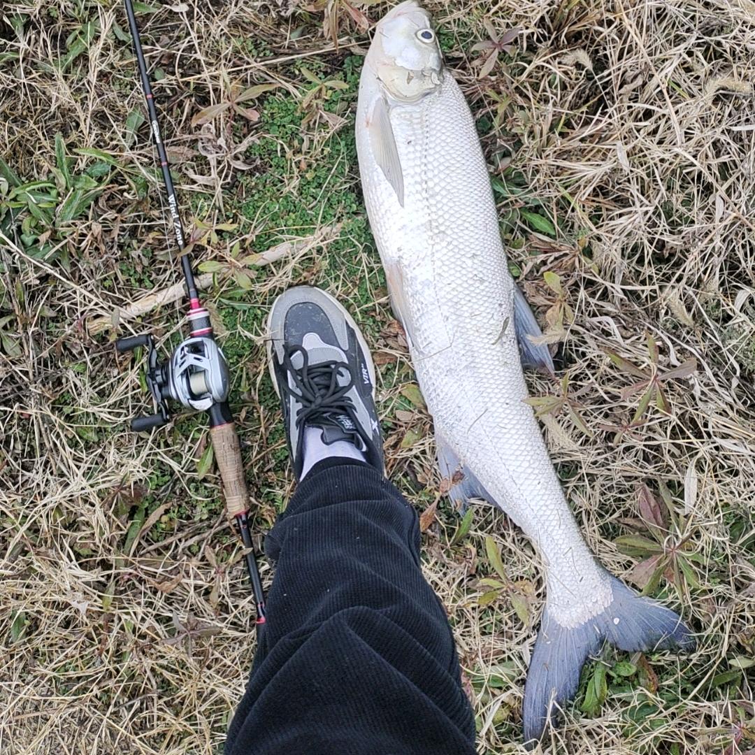 行驶在合肥路上