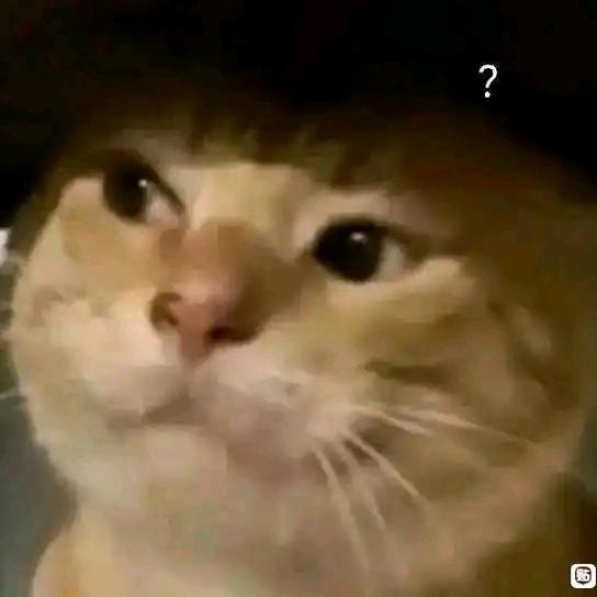 花蛤
