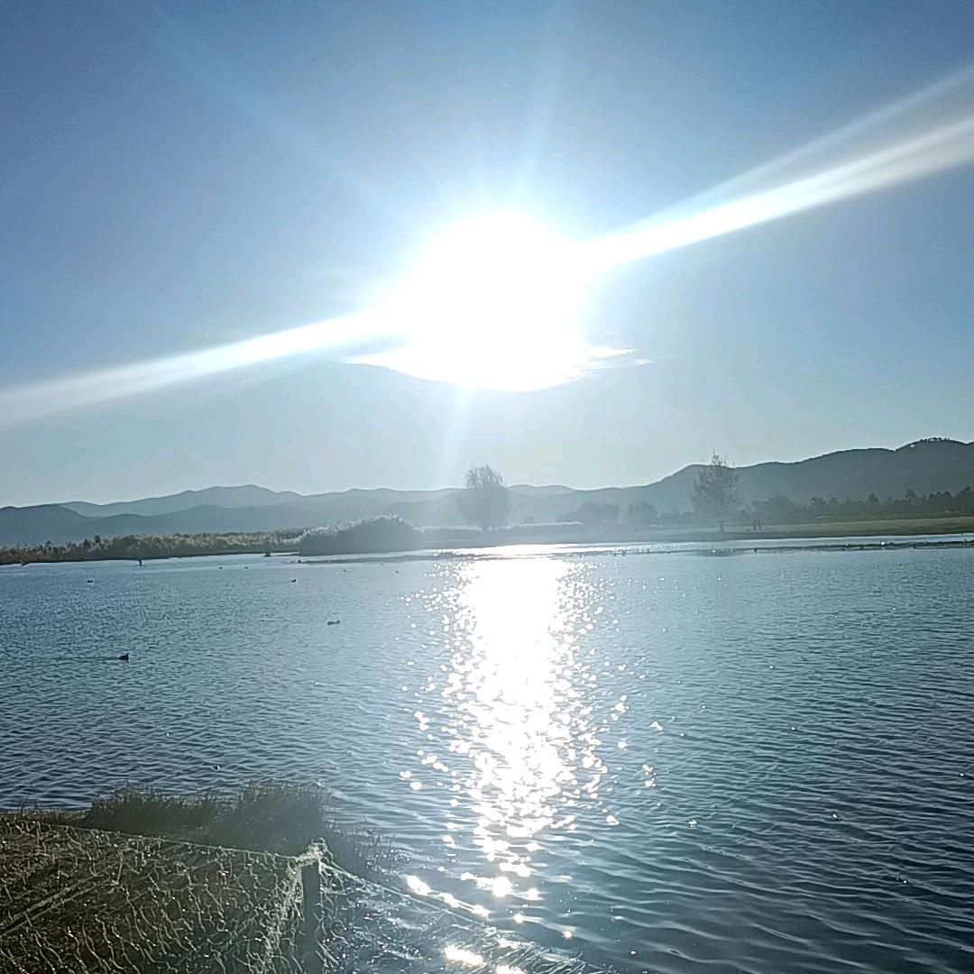 有一点甜