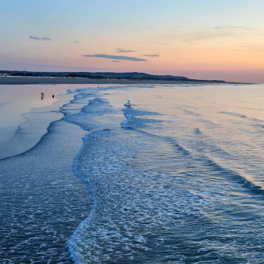 孤独的天才在左疯子在右