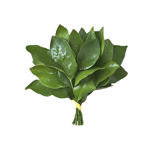 财神爷的大宝贝儿