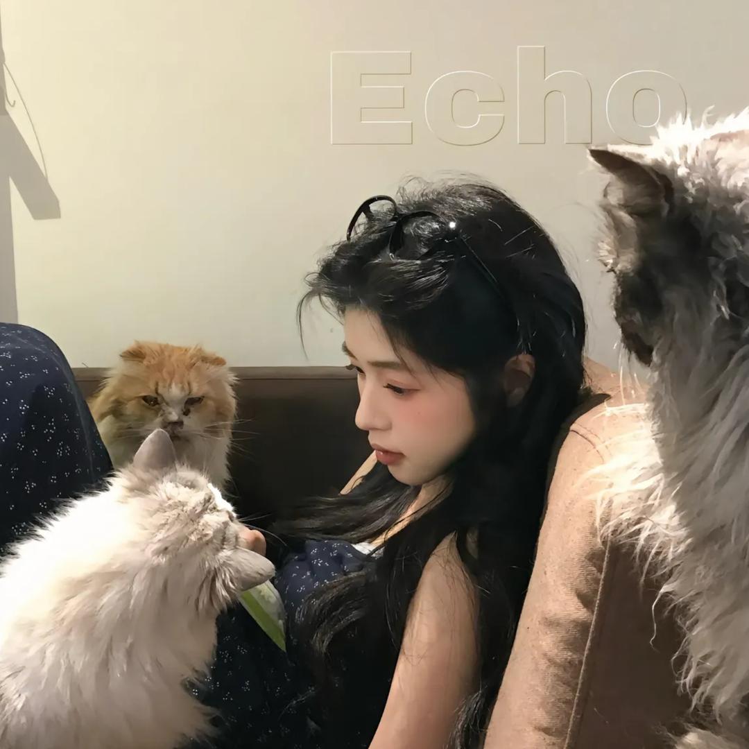 @呆呆🙄