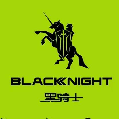 罗飞骑士驿站（黑骑士）