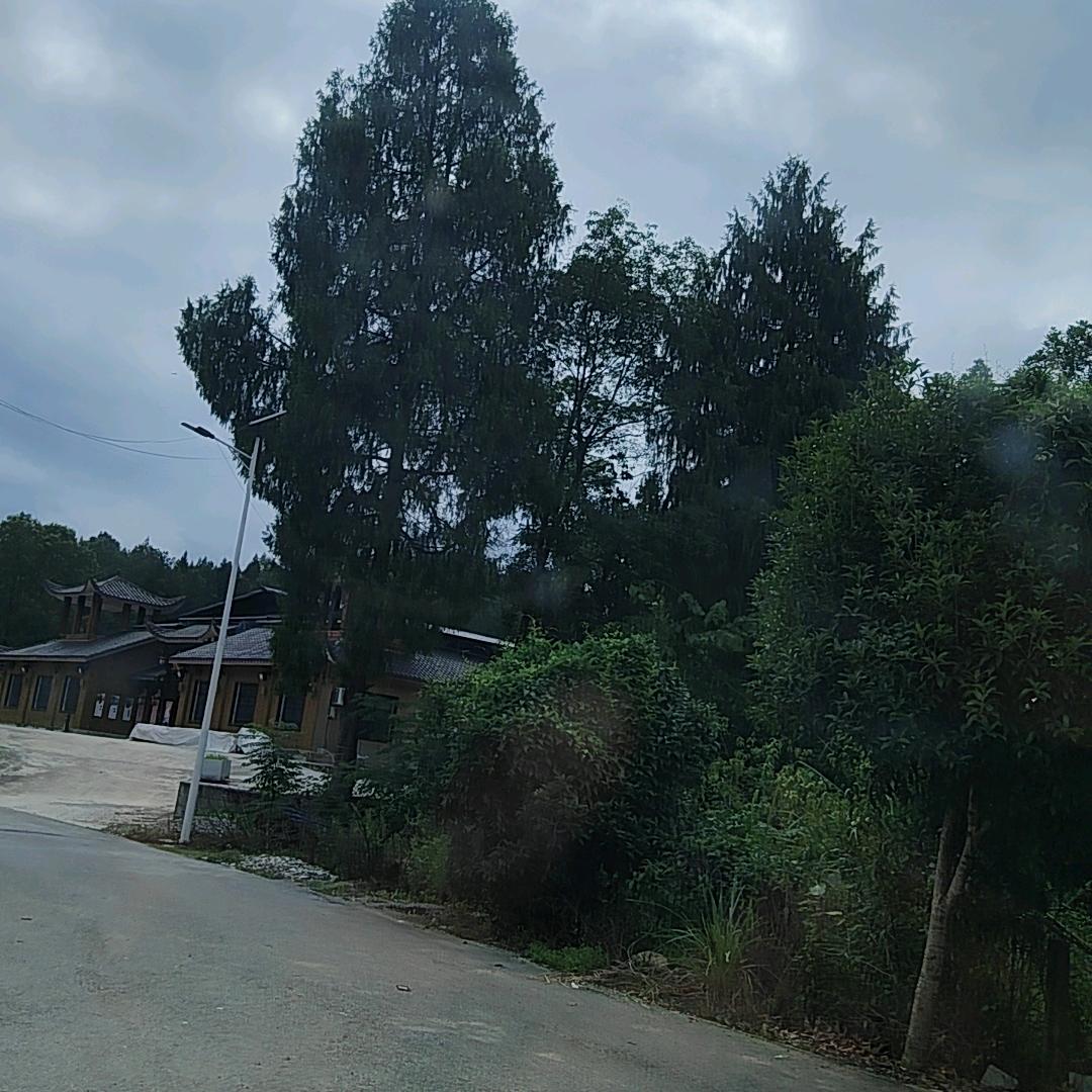 农村养殖