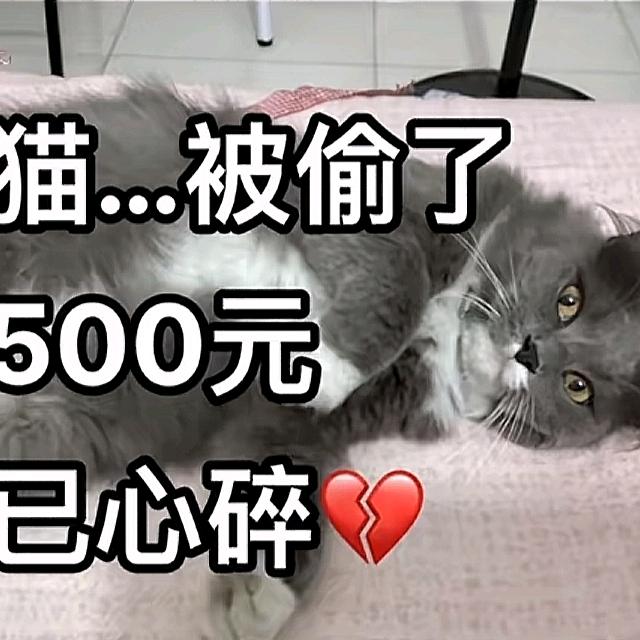 拖鞋被偷了T^T