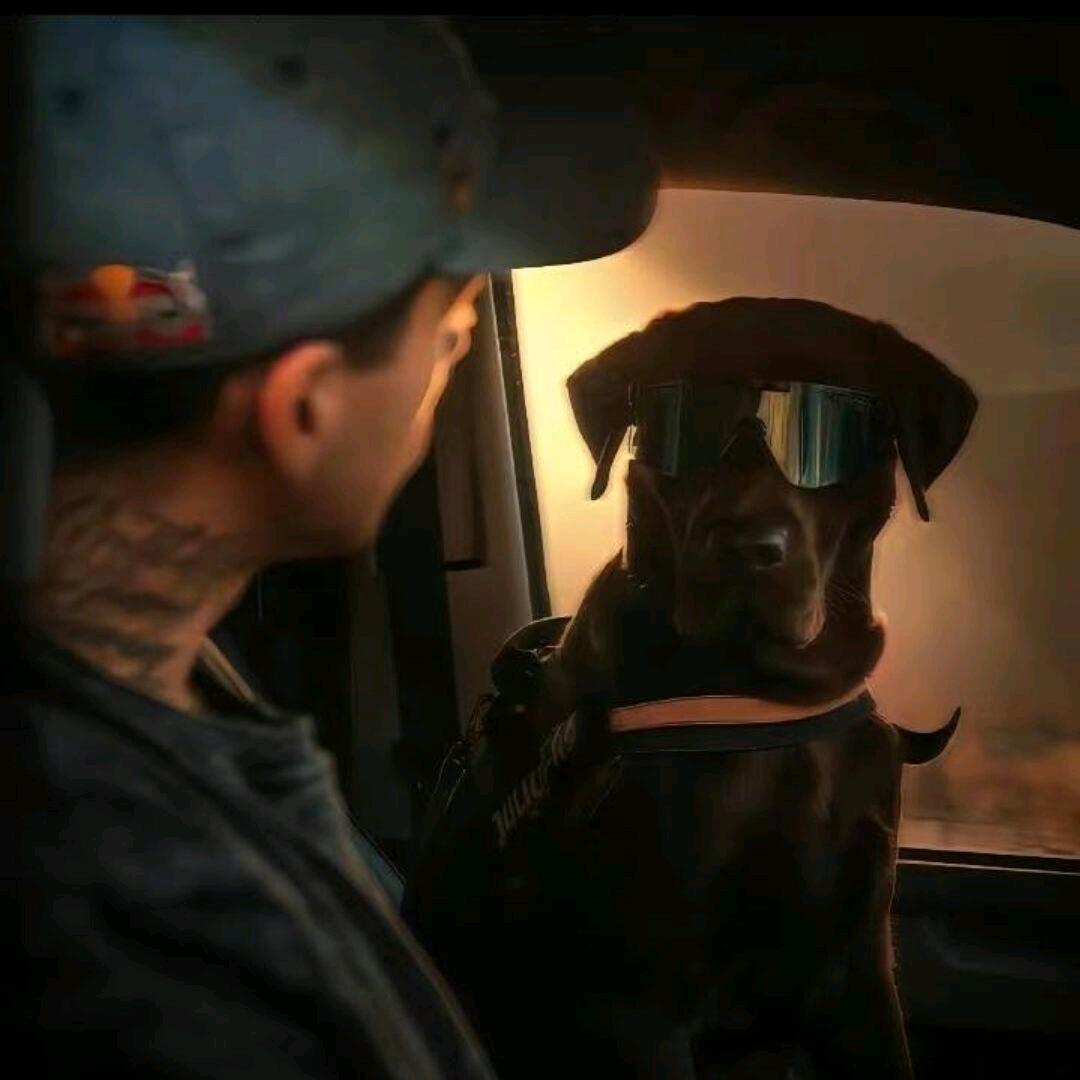 风格（暗区突围）