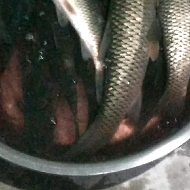 坚强